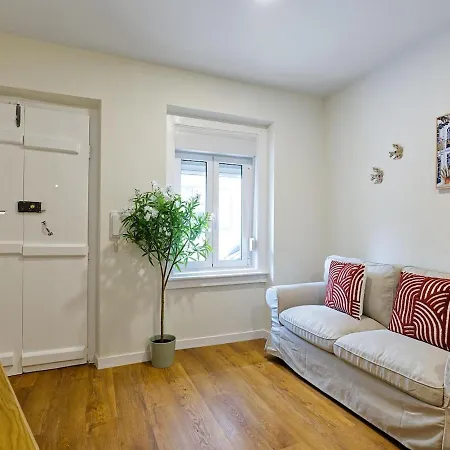Portucale ! Charming Flat With Terrace Апартаменты Лиссабон